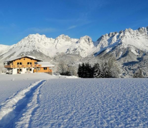 Apartment zu Hollenau Going Am Wilden Kaiser